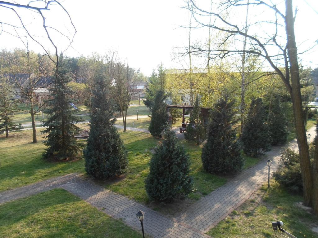 Center Angelos Bronków Cameră foto